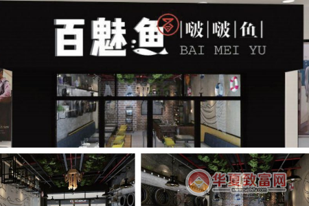 百魅鱼啵啵鱼加盟